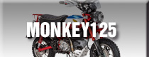 MONKEY125