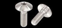 BLEEDER SCREW