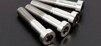 Caliper Bridge bolt